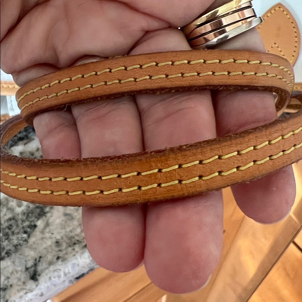 Louis Vuitton Monogram Giant Neverfull MM Gradient By The Pool Tote - Picture 4 of 16